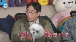 꽃분이만한 나래 - 악플달면 쩌리쩌려버려 - ＊여성시대＊ 차분한 20대들의 알흠다운 공간 꽃분이만한 나래
