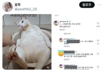 몸 불편한 고양이 영상에 악플 단 남배우 해명글.jpg - 악플달면 쩌리쩌려버려 - ＊여성시대＊ 차분한 20대들의 알흠다운 공간 몸 불편한... 