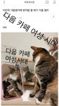 자유게시판 귀여운거 옪다 ㄷㄷ 댓 연어 필수 ㅋㄷ 11/04 추가욤 - 메이드바이여시 - ＊여성시대＊ 차분한 20대들의 알흠다운 공간 자유게시판... 