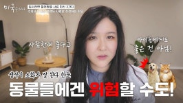 수의사가 절대 생식을 추천하지 않는 이유 (강아지 사료 관련 내용 있음) - 악플달면 쩌리쩌려버려 - ＊여성시대＊ 차분한 20대들의 알흠다운... 