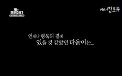 최고의 개 훈련사도 이별은 훈련되지 않았기에 - 악플달면 쩌리쩌려버려 - ＊여성시대＊ 차분한 20대들의 알흠다운 공간 최고의 개 훈련사도 이별... 