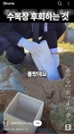 수목장 할때 모르고 하면 후회하는 정보.jpg - 악플달면 쩌리쩌려버려... 20대들의 알흠다운 공간 수목장 할때 모르고 하면 후회하는 정보.jpg