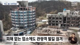 취소하지말고 제발 와달라고 호소하는 강릉시 상인들 근황 - 악플달면 쩌리쩌려버려 - ＊여성시대＊ 차분한 20대들의 알흠다운 공간... 