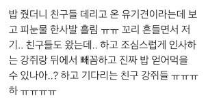 더쿠 - 밥 줬더니 친구들 데리고 온 유기견.gif