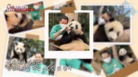 오늘 TV동물농장에 나온 푸바오에게 보내는 송바오님 편지 - 악플달면... 알흠다운 공간 오늘 TV동물농장에 나온 푸바오에게 보내는 송바오님 편지