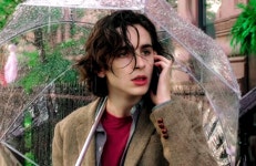 29살 티모시 샬라메의 필모 - 악플달면 쩌리쩌려버려 - ＊여성시대＊ 차분한 20대들의 알흠다운 공간 29살 티모시 샬라메의 필모