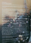 첫 솔로 앨범 땡스투에 지구를 갈아 넣은 아이돌 - 악플달면... 차분한 20대들의 알흠다운 공간 첫 솔로 앨범 땡스투에 지구를 갈아 넣은 아이돌