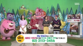 동물농장 오늘자 창녕 품종묘 10마리 유기사건 전말 - 악플달면... 20대들의 알흠다운 공간 동물농장 오늘자 창녕 품종묘 10마리 유기사건 전말