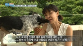 이용녀 배우님과 70마리개들 - 악플달면 쩌리쩌려버려 - ＊여성시대＊ 차분한 20대들의 알흠다운 공간 이용녀 배우님과 70마리개들