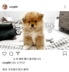막내 생긴 이웃집 백호네 - 악플달면 쩌리쩌려버려 - ＊여성시대＊ 차분한 20대들의 알흠다운 공간 막내 생긴 이웃집 백호네
