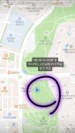 🆘강아지를 찾습니다🆘 인천 남동구 구월동 행유세 별이 - 인스티즈... 카테고리 🆘강아지를 찾습니다🆘 인천 남동구 구월동 행유세 별이