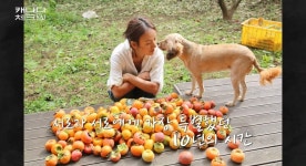 [캐나다체크인] 순심이와 닮은 강아지를 캐나다 해변에서 만난 이효리.. - 악플달면 쩌리쩌려버려 - ＊여성시대＊ 차분한 20대들의 알흠다운 공간... 