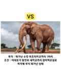 이대호 100명 vs 코끼리 싸우면 누가 이김? - 악플달면 쩌리쩌려버려... 20대들의 알흠다운 공간 이대호 100명 vs 코끼리 싸우면 누가 이김?