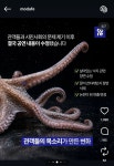 - 악플달면 쩌리쩌려버려 - ＊여성시대＊ 차분한 20대들의 알흠다운 공간 모다페 살아있는 문어 낙지를 전자레인지에 넣고,밟고,해체하는게... 