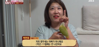 학계에 보고될 초희귀 사례급 반전인 오늘자 동물농장.jpg - 악플달면 쩌리쩌려버려 - ＊여성시대＊ 차분한 20대들의 알흠다운 공간 학계에... 