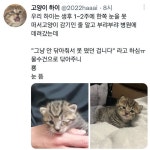불안해서 동물병원 갔는데... - 악플달면 쩌리쩌려버려 - ＊여성시대＊ 차분한 20대들의 알흠다운 공간 불안해서 동물병원 갔는데...