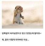 더쿠 - 애니속 실눈 캐릭터 특징.jpg