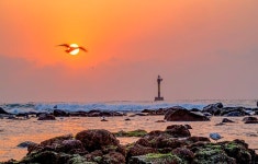 아침풍경 - 세상사는 이야기 - 참 좋은 나무 아침풍경