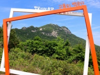 2026년 4월 4일(토) 제396차(26-8) 백운산(광양) 정기산행 - ㆍ정기산행 신청방 - 대전VIP토요산악회 2026년 4월 4일(토) 제396차(26-8) 