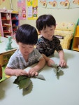 햇님반이야기^^ - 카페 앨범 - 현대키즈어린이집 햇님반이야기^^