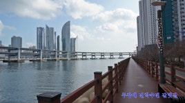 욜로갈맷길4코스 (해변열차) ＜5＞ - .·´″```°³о2024개별산행 - 한산전북지부 욜로갈맷길4코스 (해변열차) ＜5＞