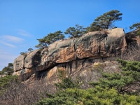 메아리산악회 143차(천태산)산행안내 - 산행안내/예약 - 경남 메아리산악회 메아리산악회 143차(천태산)산행안내