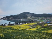 메아리산악회 111차(청산도)산행안내 - 산행안내/예약 - 경남 메아리산악회 메아리산악회 111차(청산도)산행안내