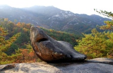 메아리산악회 143차(천태산)산행안내 - 산행안내/예약 - 경남 메아리산악회 메아리산악회 143차(천태산)산행안내