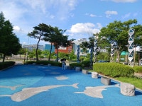 충북청주 홍덕구{오송 가락로} - 여행앨범 - 애견경매장 충북청주 홍덕구{오송 가락로}