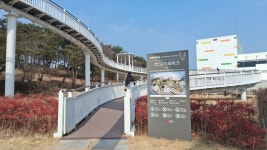 경북 문경시 문경중앙공원 - 여행앨범 - 애견경매장 경북 문경시 문경중앙공원