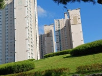 충북청주 홍덕구{오송 가락로} - 여행앨범 - 애견경매장 충북청주 홍덕구{오송 가락로}