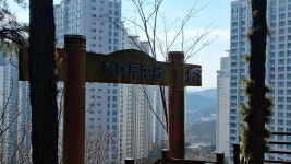 경북 구미 해마루공원 - 여행앨범 - 애견경매장 경북 구미 해마루공원