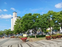 충북청주 홍덕구{오송 가락로} - 여행앨범 - 애견경매장 충북청주 홍덕구{오송 가락로}