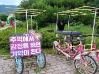 경북 청도 레일바이크 - 여행앨범 - 애견경매장 경북 청도 레일바이크