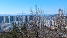 대구 달서구 학산공원 - 여행앨범 - 애견경매장 대구 달서구 학산공원