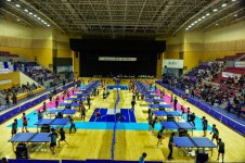 2022.10.23 (일) 제33회 경기도생활체육대축전 2022 - 1 - 대회 사진방 - 양평군 탁구협회 2022.10.23 (일) 제33회 경기도생활체육대축전... 