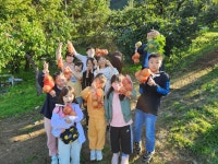 농촌체험학습-알밤줍기, 사과,단감따기 - 교육 내용 및 활동 - 대구한빛지역아동센터 농촌체험학습-알밤줍기, 사과,단감따기