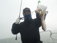 3월26일 봄왕쭈꾸미와 우럭병행출조 조황입니다 - 오늘의 조황 - 거양호 3월26일 봄왕쭈꾸미와 우럭병행출조 조황입니다