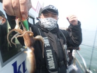 3월26일 봄왕쭈꾸미와 우럭병행출조 조황입니다 - 오늘의 조황 - 거양호 3월26일 봄왕쭈꾸미와 우럭병행출조 조황입니다