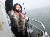 3월26일 봄왕쭈꾸미와 우럭병행출조 조황입니다 - 오늘의 조황 - 거양호 3월26일 봄왕쭈꾸미와 우럭병행출조 조황입니다