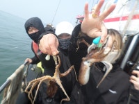 3월26일 봄왕쭈꾸미와 우럭병행출조 조황입니다 - 오늘의 조황 - 거양호 3월26일 봄왕쭈꾸미와 우럭병행출조 조황입니다