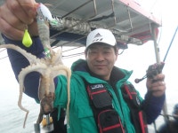 3월26일 봄왕쭈꾸미와 우럭병행출조 조황입니다 - 오늘의 조황 - 거양호 3월26일 봄왕쭈꾸미와 우럭병행출조 조황입니다