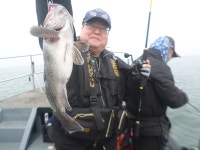 3월26일 봄왕쭈꾸미와 우럭병행출조 조황입니다 - 오늘의 조황 - 거양호 3월26일 봄왕쭈꾸미와 우럭병행출조 조황입니다