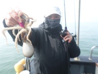 3월26일 봄왕쭈꾸미와 우럭병행출조 조황입니다 - 오늘의 조황 - 거양호 3월26일 봄왕쭈꾸미와 우럭병행출조 조황입니다