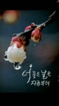 1588-5251 퀵/용달 24시간 한국퀵서비스협동조합 아무리 가까운 길이라도 가지 않으면 도달하지 못하고 아무리 쉬운 일이라도 하지 않으면...