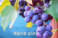 #250914/SKETCH / CHURCH 본이 되는 그리스도인들~행복한 한가족예배 서울금천 한우리침례교회 / 예배 비전 동정... 