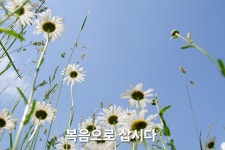 #250810/SKETCH / CHURCH 본이 되는 그리스도인들~행복한 한가족예배 서울금천 한우리침례교회 / 예배 비전 동정... 
