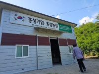 서동후배 자두농장견학 - 엄이장의 일기 - 봉화군춘양면소로1리(방전) 서동후배 자두농장견학