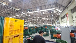 안동농산물 공판장 - 엄이장의 일기 - 봉화군춘양면소로1리(방전) 안동농산물 공판장