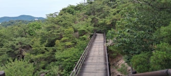 6월 22일(월) 북한산둘레길-5구간(명상길)-6구간(평창마을길)-7구간... - 자유 걷기 사진방 - 걷기를 즐기는 모임 6월 22일(월) 북한산둘레길... 